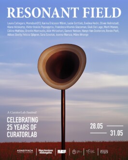 Resonant Field Festival